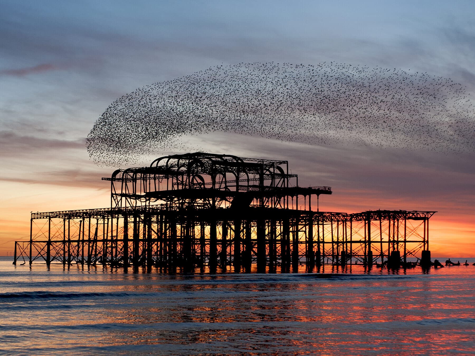 Brighton pier starling murmuration