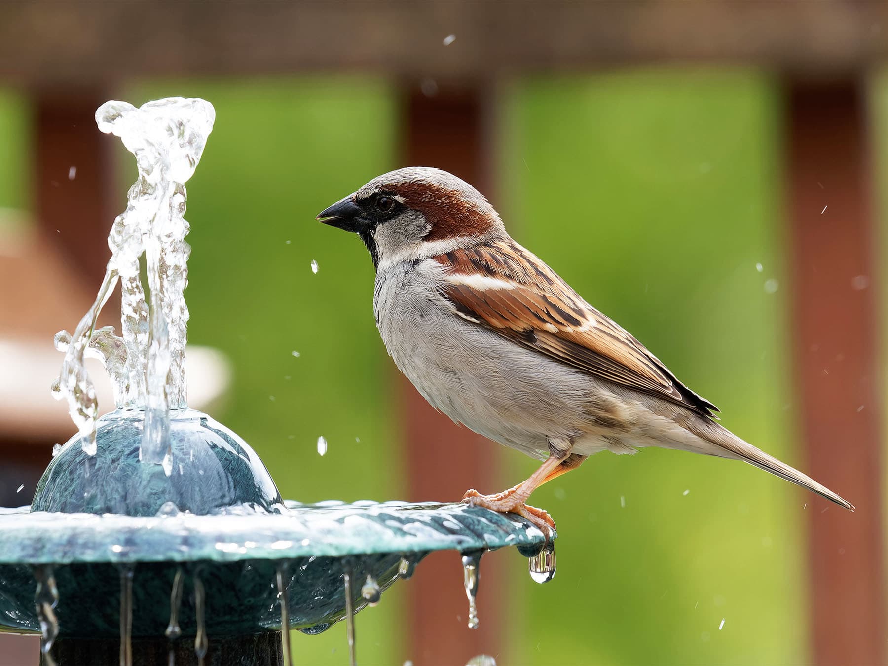 Human Influence and Intervention