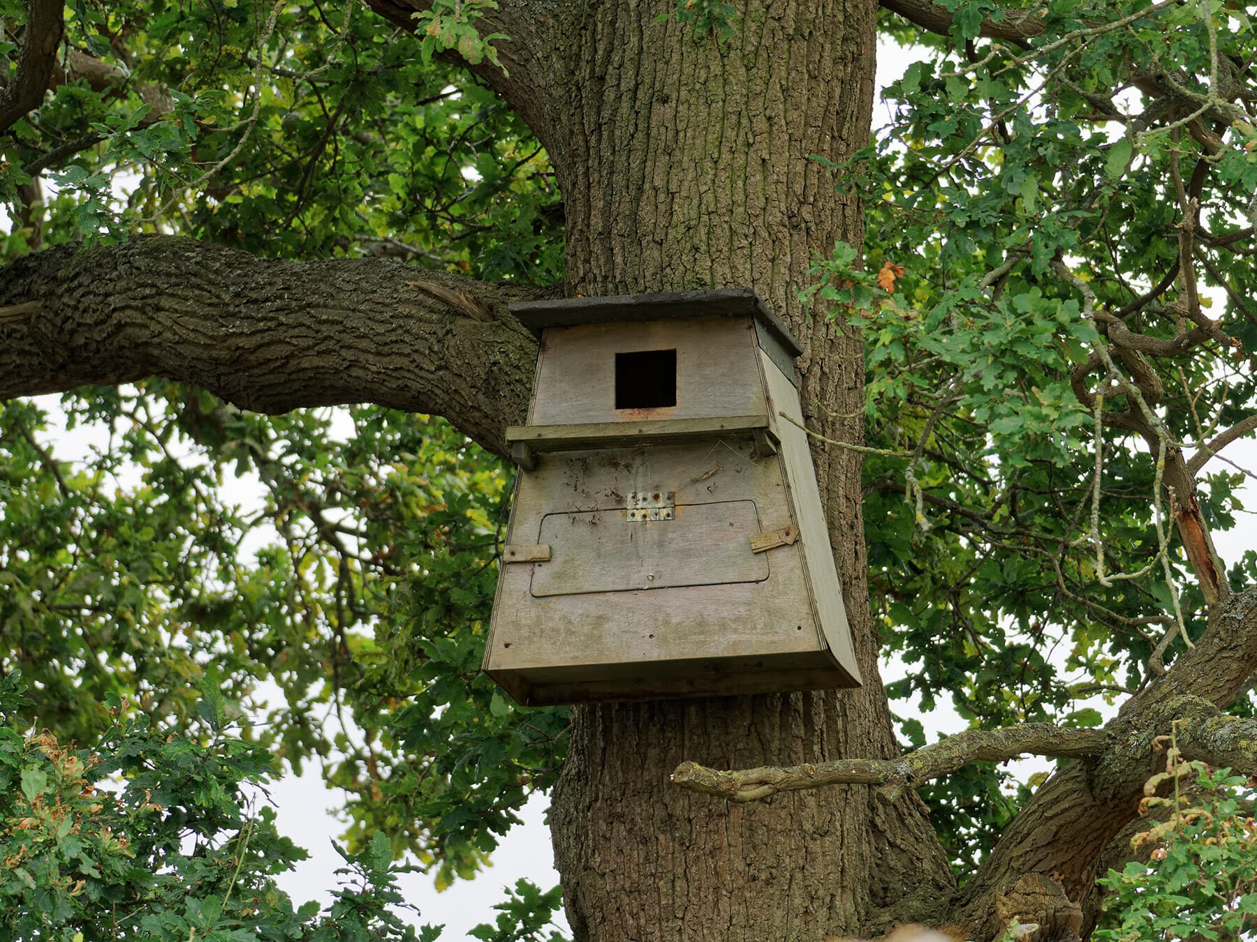 Owl nestbox