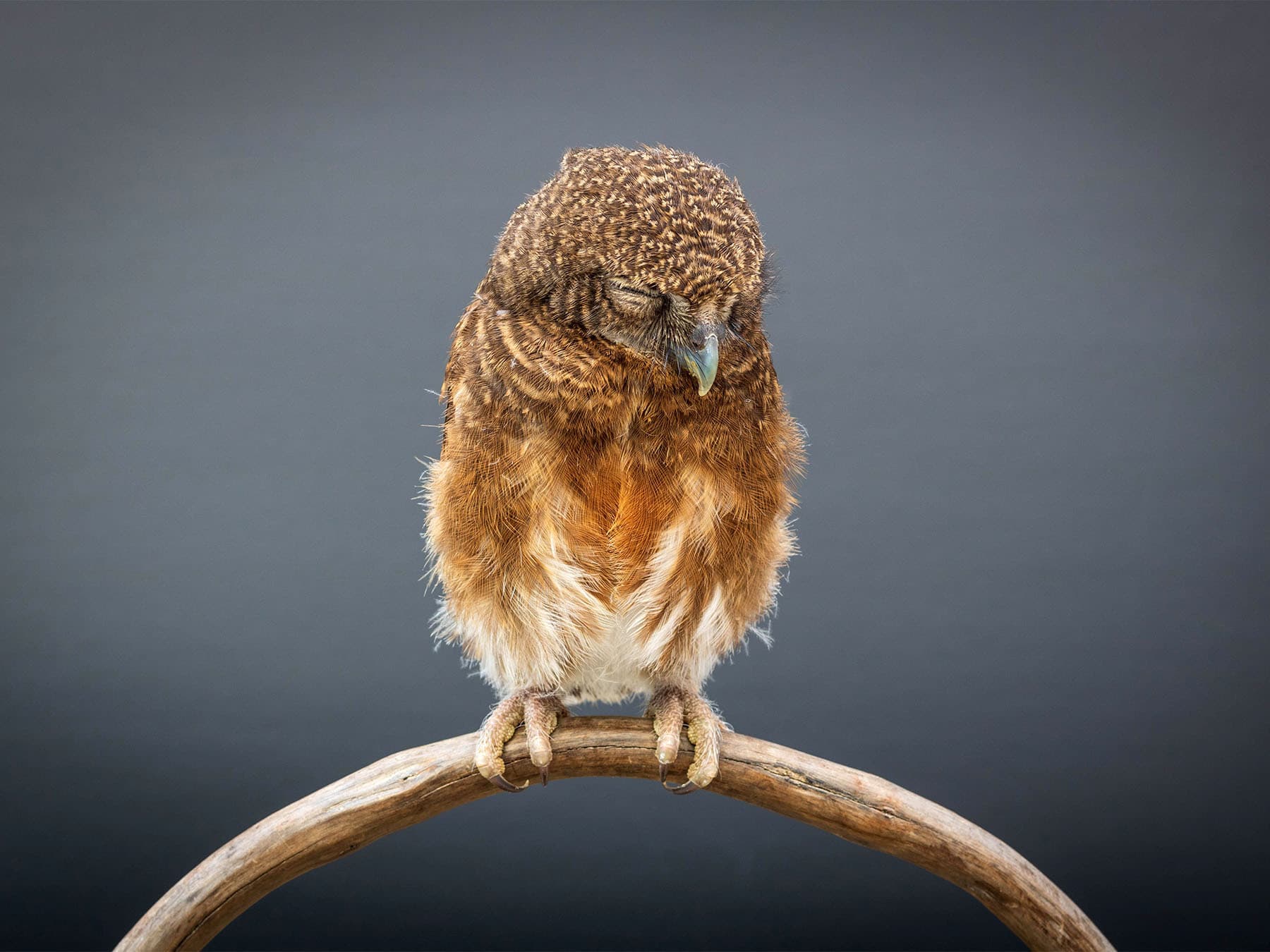 Sleeping Habits and Behavior